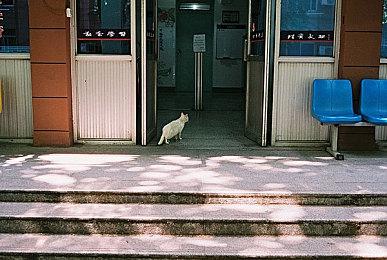 国外游戏零售商上架《对马岛之魂》疑似明年2月登陆Steam